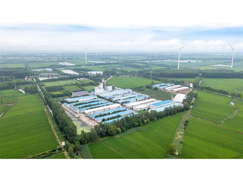 2023年中央一號文件出爐，畜禽產(chǎn)業(yè)應(yīng)抓住哪些新機遇？