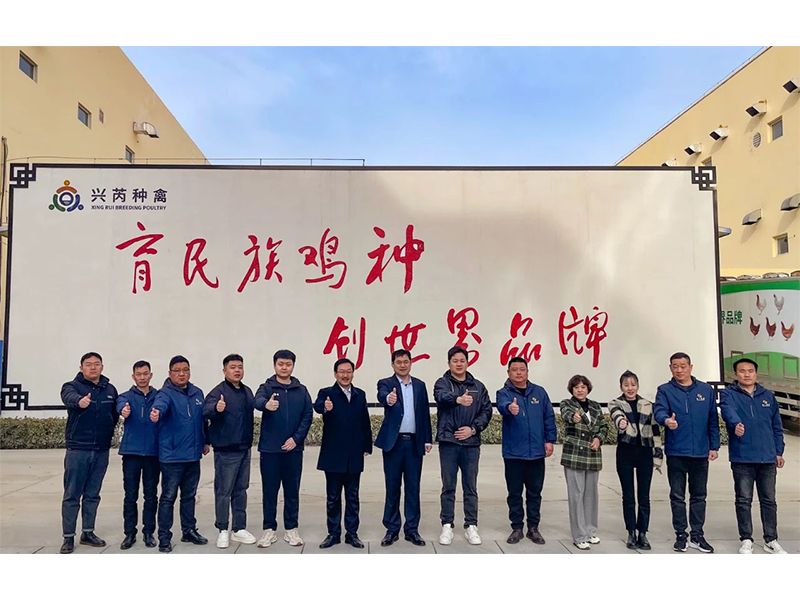 參觀學習促進步 交流合作贏發(fā)展︱卓一牧業(yè)赴興芮種禽、峪口禽業(yè)與瑞普生物參觀訪學