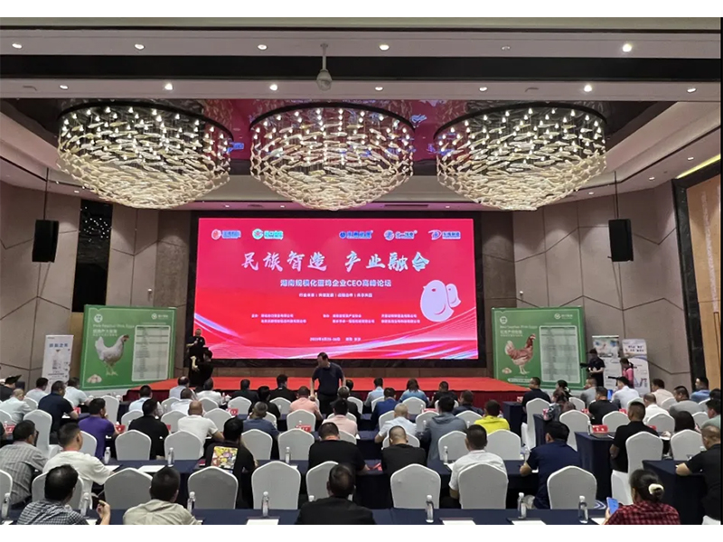 熱烈祝賀湖南規(guī)模化蛋雞企業(yè)CEO高峰論壇取得圓滿成功！
